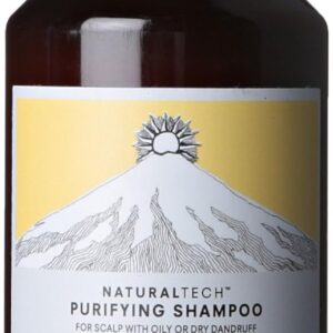 Davines NATURALTECH Purifying Shampoo 250 ml
