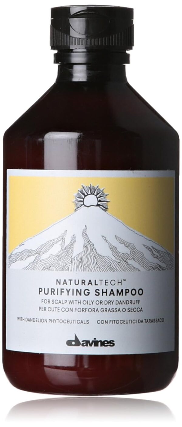 Davines NATURALTECH Purifying Shampoo 250 ml