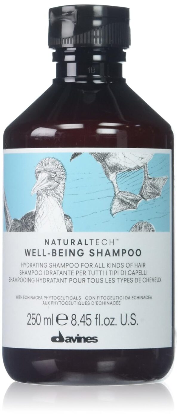 Davines NATURALTECH Well-Being Shampoo 250 ml